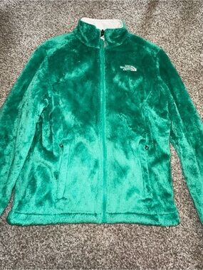 The North Face Plush Fleece Full Zip Jacket in Emerald Green